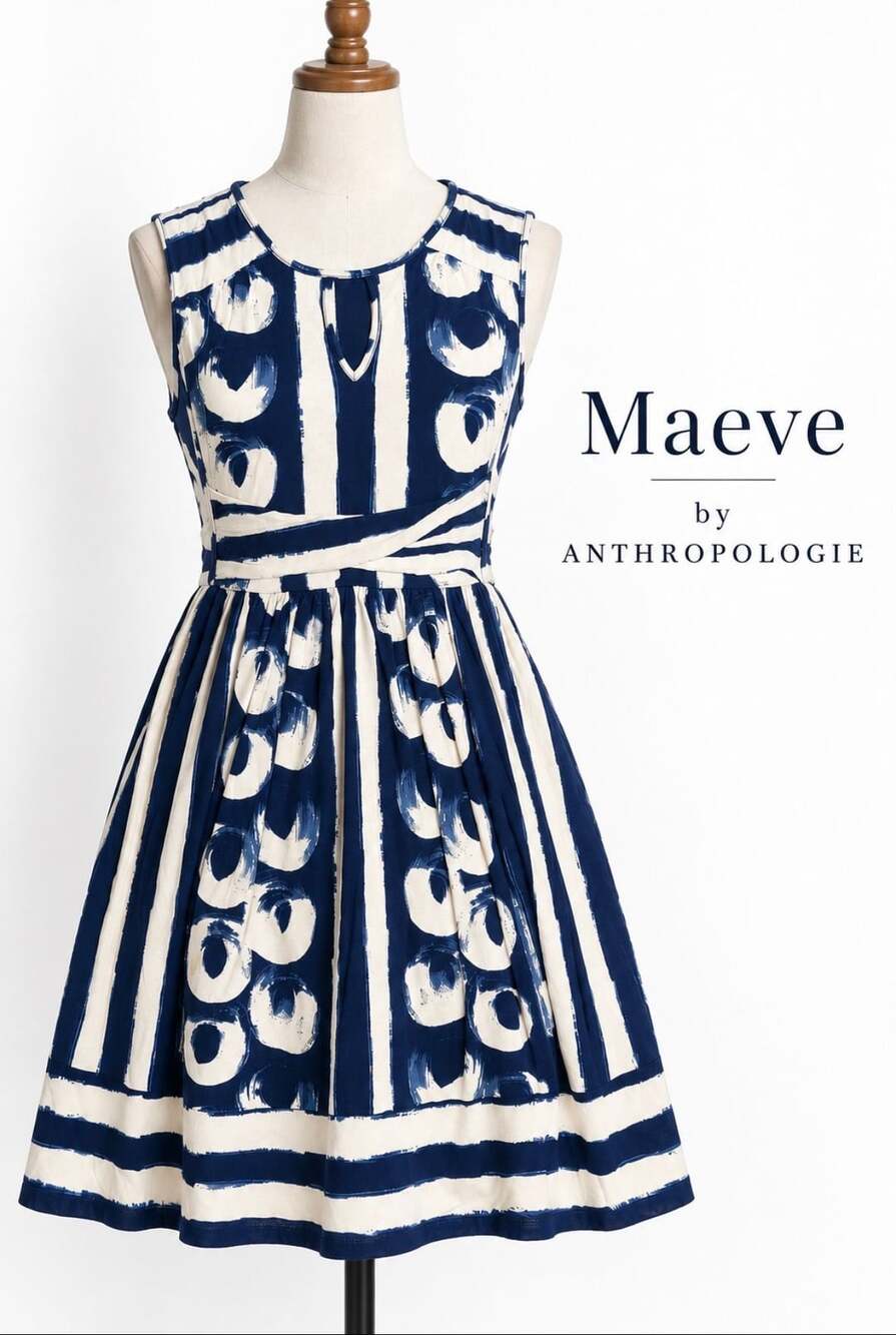 Anthropologie Maeve Sennebec Dress XXS Petite Navy Ivory Fit Flare Pockets